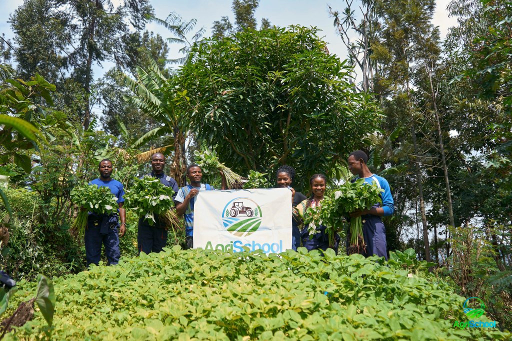 🌱 Récolte d&rsquo;Amarante INKA à Goma : Un Tournant pour la sécurité alimentaire et lutter contre la&nbsp;pauvreté